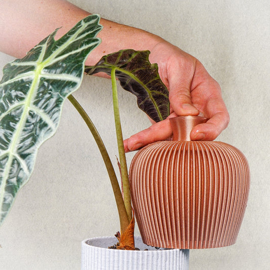 Ribbed Watering Bell