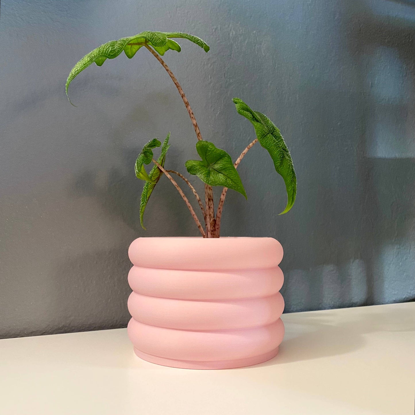 3d printed 3 bubble pot indoor planter plant accessories