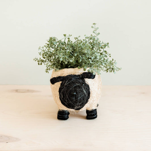 Sheep Planter for XS Plant