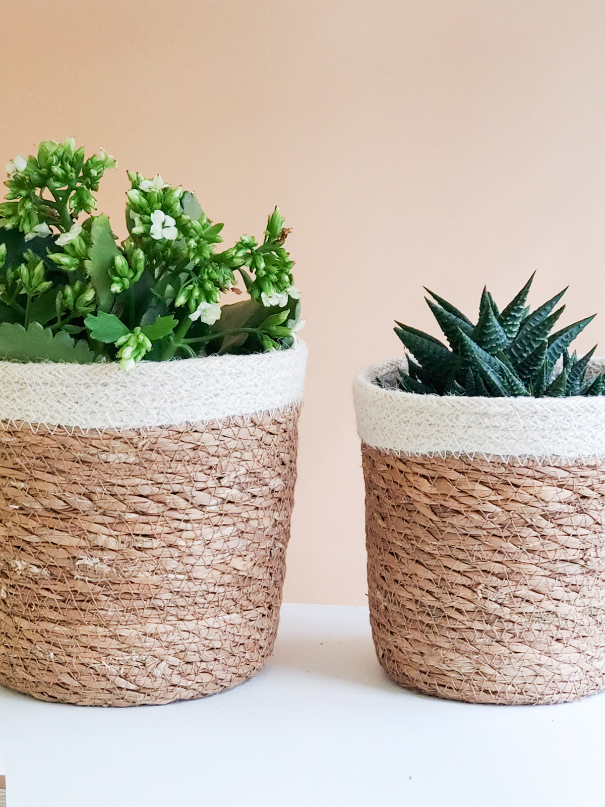 Savar Plant Basket-2
