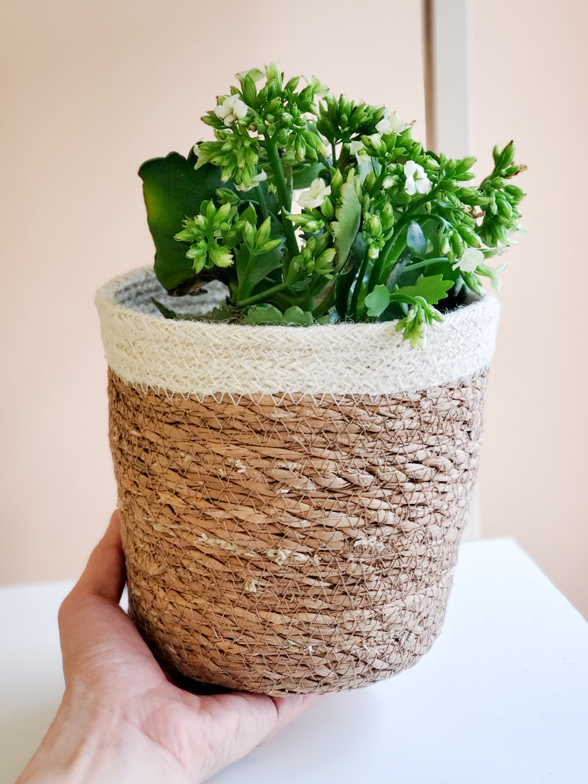 Savar Plant Basket-3