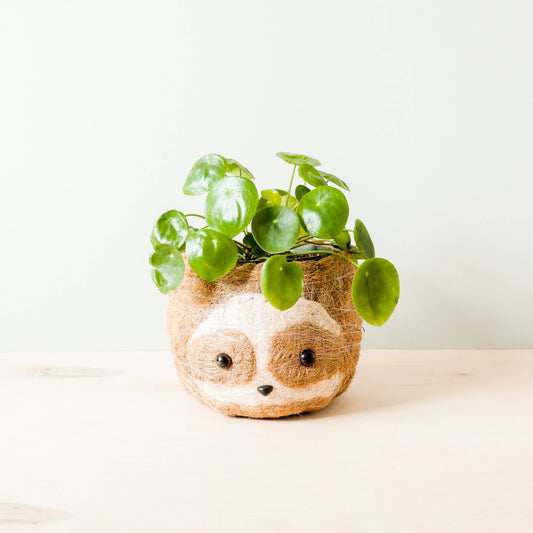 Large Sloth Planter for Small Plant