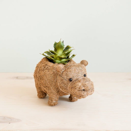 Baby Hippo Planter for XS Plant